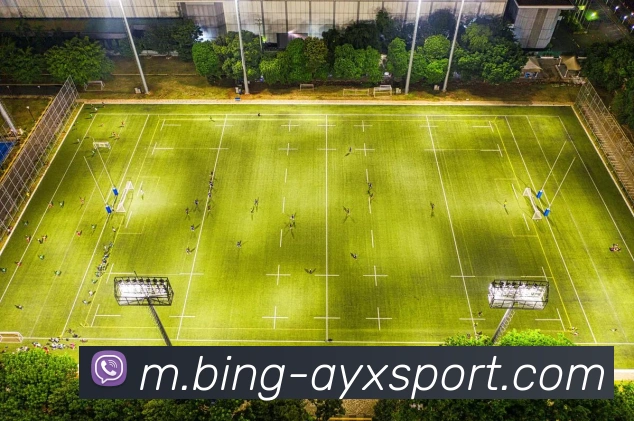 爱游戏体育APP 封面图